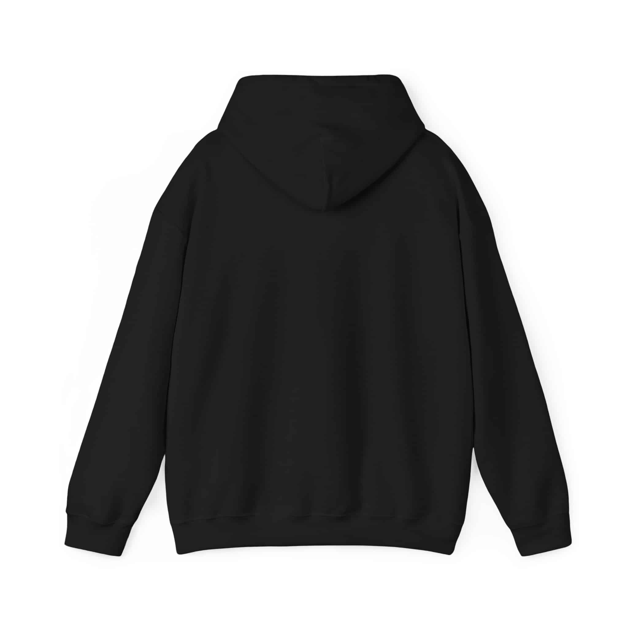 Paddlefish Brewing Hooded Sweatshirt - Image 6