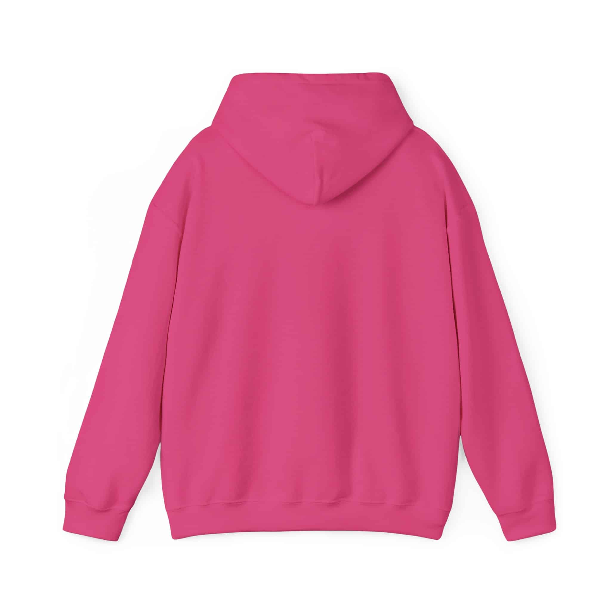 Paddlefish Brewing Hooded Sweatshirt - Image 46
