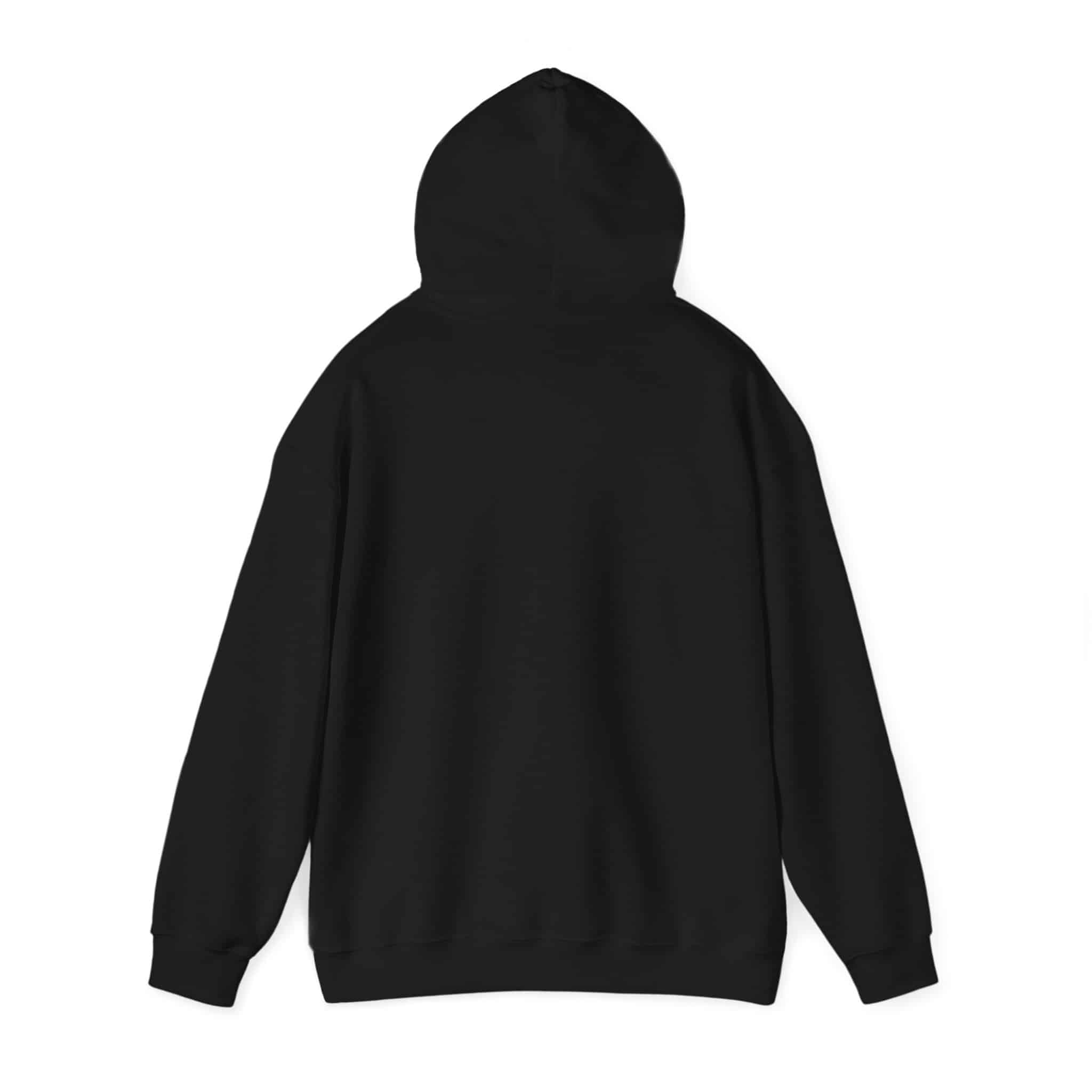 Paddlefish Brewing Hooded Sweatshirt - Image 7