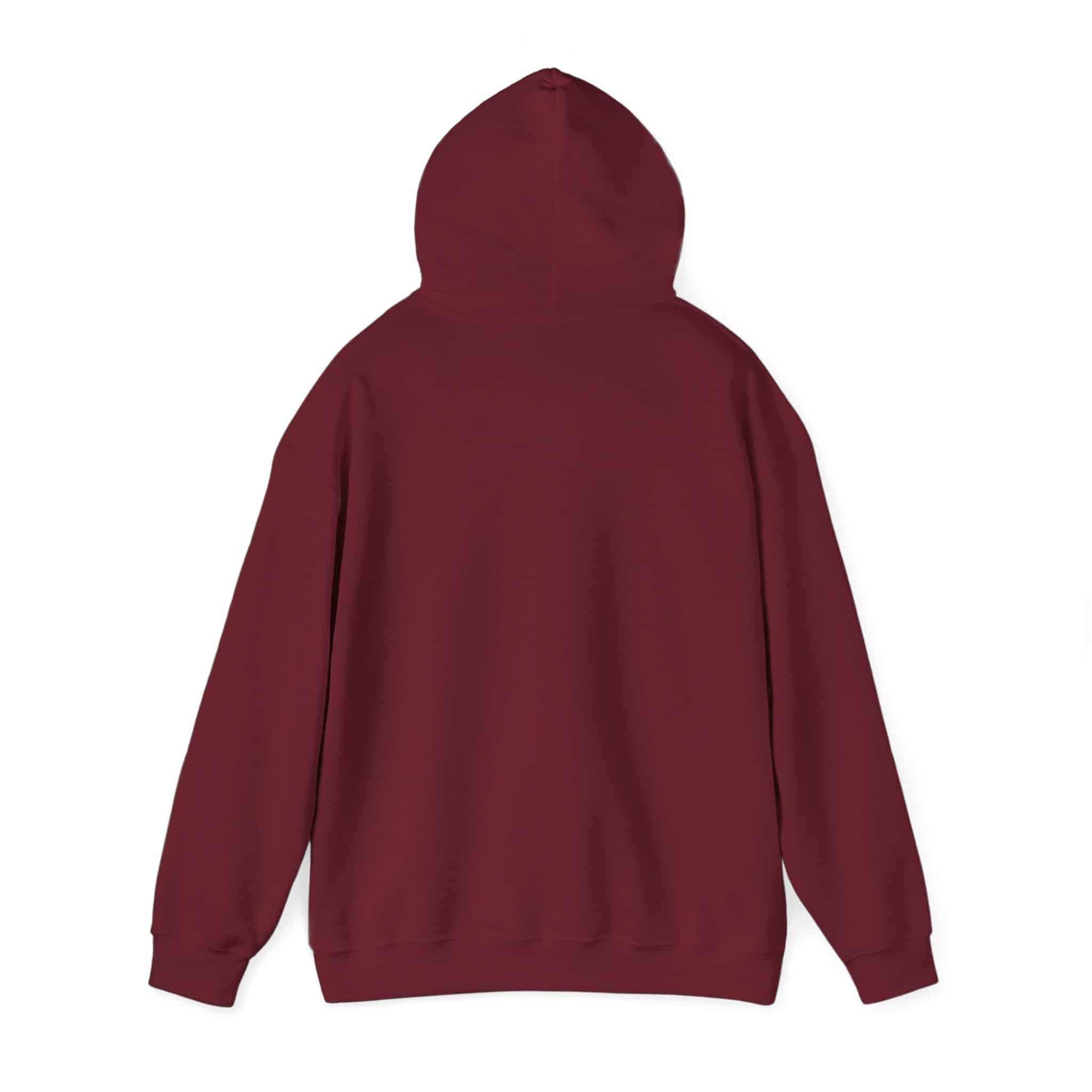 Paddlefish Brewing Hooded Sweatshirt - Image 55
