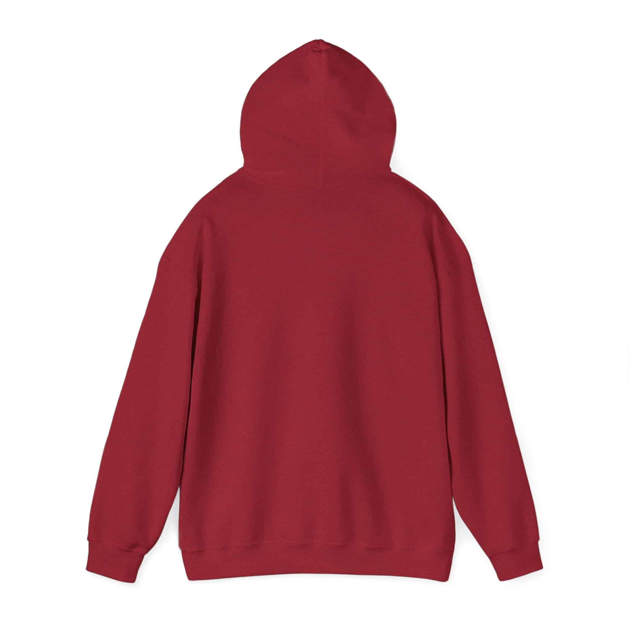 Paddlefish Brewing Hooded Sweatshirt - Image 51