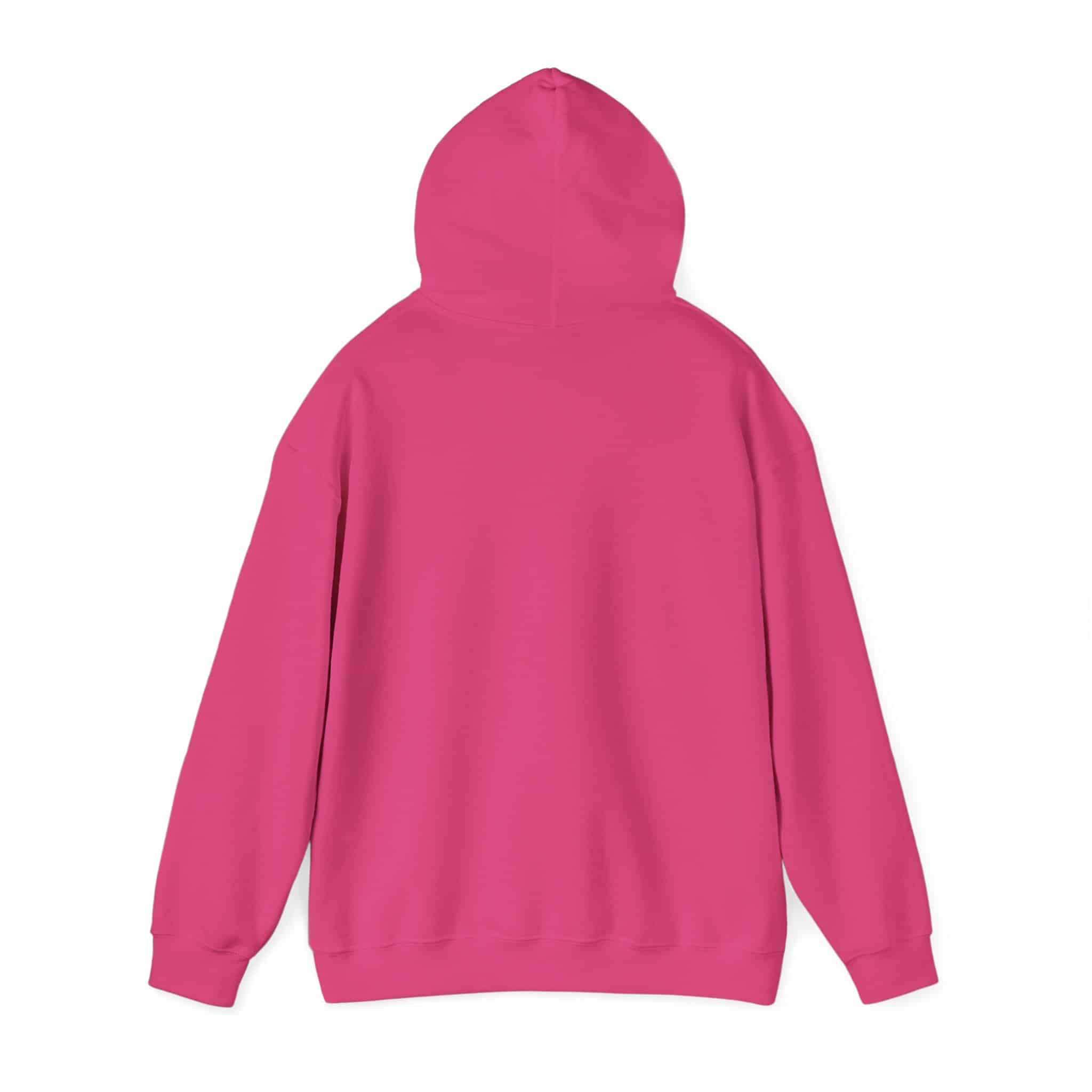 Paddlefish Brewing Hooded Sweatshirt - Image 47